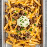 Philly Steak Cheese Fries
