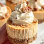 No Bake Pumpkin Mini Cheesecakes